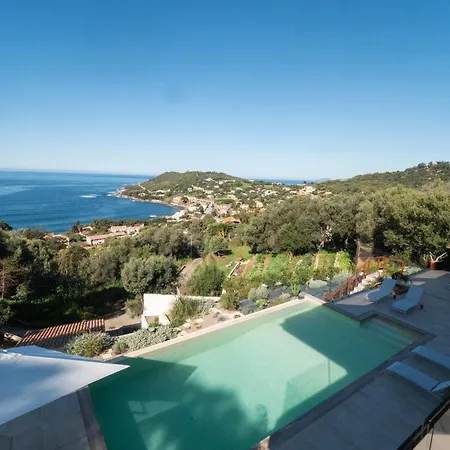 Maredo - West Corsica Stunning View, Infinity Pool Tiuccia